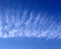 Cirrus fibratus intortus.