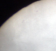 Taches solaires le 8 avril 2006.