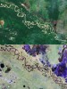 Bolivian_forest_comparing_Sentinel-2_and_Biomass_p.jpg, juin 2025