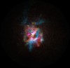potw2531a_p.jpg, août 2025
