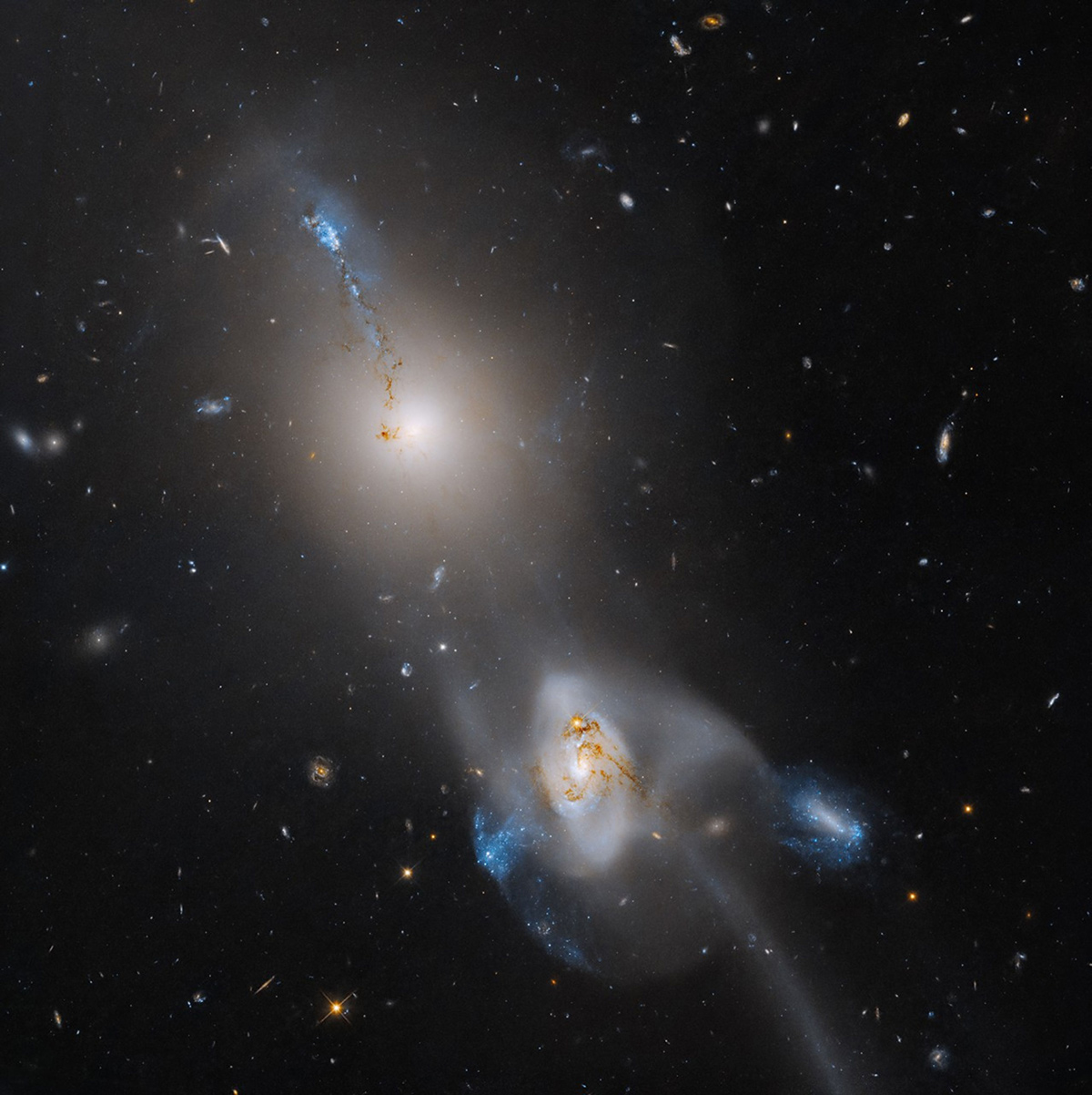 Hubble_Arp105_WFC3_mstr_flat_cont.jpg, mai 2025