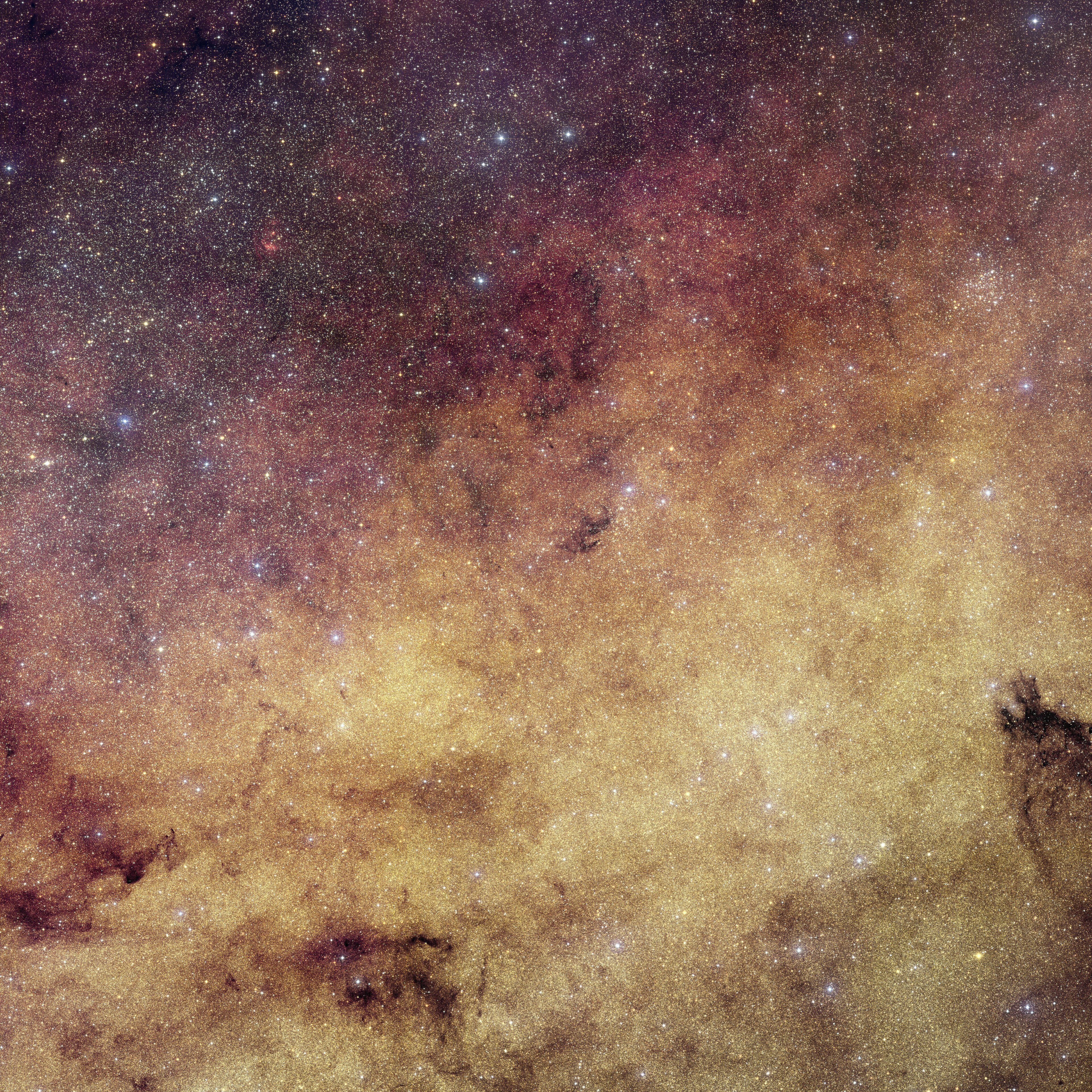 Euclid_s_view_of_our_galaxy_s_bulge.jpg, juin 2026